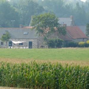 Les champs de la ferme